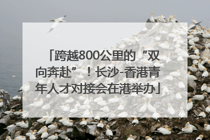 跨越800公里的“双向奔赴”！长沙-香港青年人才对接会在港举办