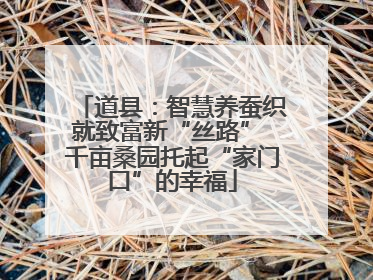 道县：智慧养蚕织就致富新“丝路” 千亩桑园托起“家门口”的幸福