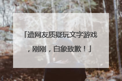 遭网友质疑玩文字游戏，刚刚，白象致歉！