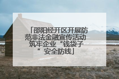 邵阳经开区开展防范非法金融宣传活动 筑牢企业“钱袋子”安全防线