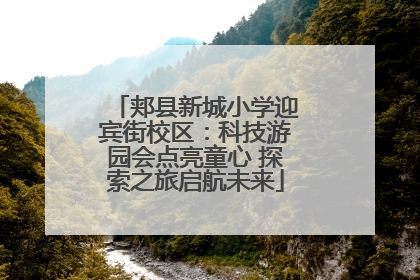 郏县新城小学迎宾街校区：科技游园会点亮童心 探索之旅启航未来