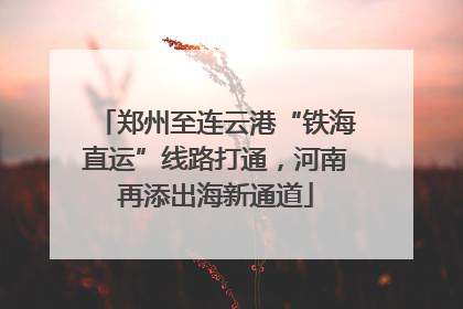 郑州至连云港“铁海直运”线路打通，河南再添出海新通道