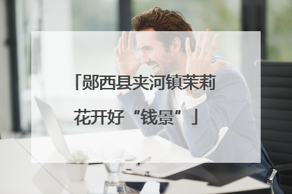 郧西县夹河镇茉莉花开好“钱景”