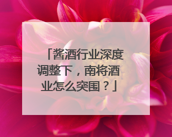 酱酒行业深度调整下，南将酒业怎么突围？