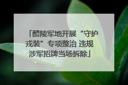 醴陵军地开展“守护戎装”专项整治 违规涉军招牌当场拆除