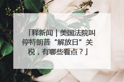 释新闻｜美国法院叫停特朗普“解放日”关税，有哪些看点？