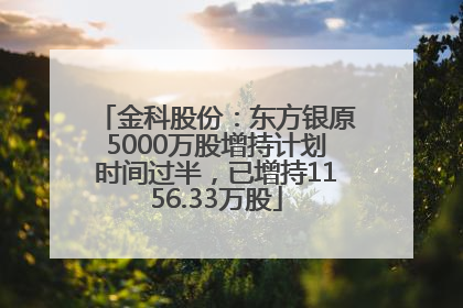 金科股份：东方银原5000万股增持计划时间过半，已增持1156.33万股