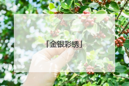 金银彩绣