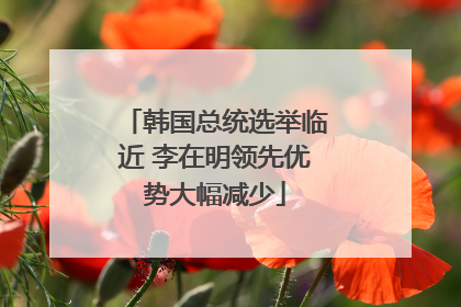 韩国总统选举临近 李在明领先优势大幅减少