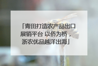 青田打造农产品出口展销平台 以侨为桥，浙农优品越洋出海