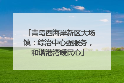 青岛西海岸新区大场镇：综治中心强服务，和谐港湾暖民心