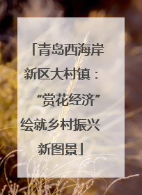 青岛西海岸新区大村镇：“赏花经济”绘就乡村振兴新图景