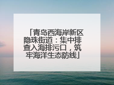 青岛西海岸新区隐珠街道：集中排查入海排污口，筑牢海洋生态防线