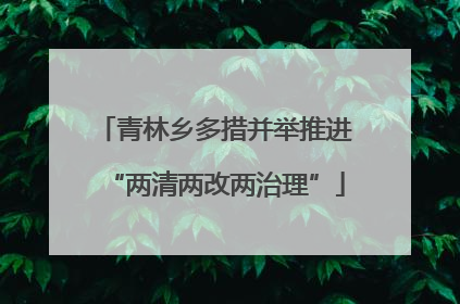 青林乡多措并举推进“两清两改两治理”