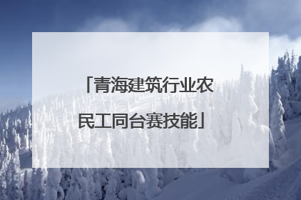 青海建筑行业农民工同台赛技能