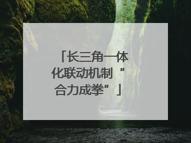 长三角一体化联动机制“合力成拳”