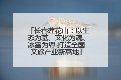 长春莲花山：以生态为基、文化为魂、冰雪为翼 打造全国文旅产业新高地
