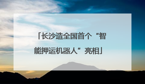 长沙造全国首个“智能押运机器人”亮相