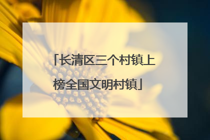长清区三个村镇上榜全国文明村镇
