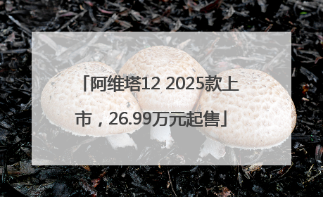阿维塔12 2025款上市，26.99万元起售