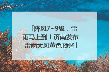 阵风7~9级，雷雨马上到！济南发布雷雨大风黄色预警