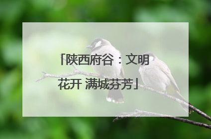 陕西府谷：文明花开 满城芬芳