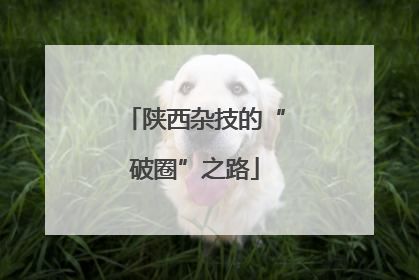 陕西杂技的“破圈”之路
