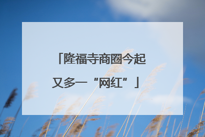 隆福寺商圈今起又多一“网红”