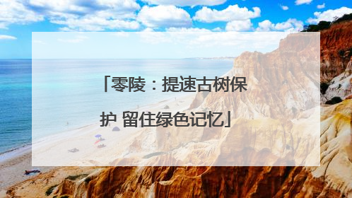 零陵：提速古树保护 留住绿色记忆