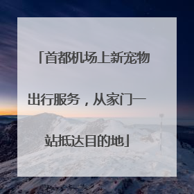 首都机场上新宠物出行服务，从家门一站抵达目的地