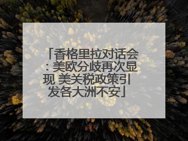 香格里拉对话会：美欧分歧再次显现 美关税政策引发各大洲不安