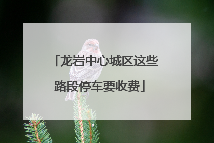 龙岩中心城区这些路段停车要收费