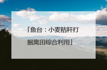 鱼台：小麦秸秆打捆离田综合利用