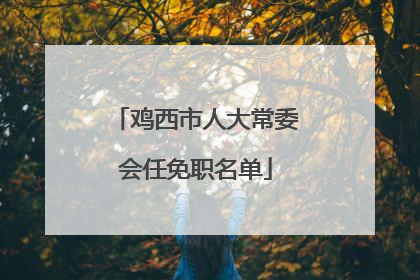 鸡西市人大常委会任免职名单