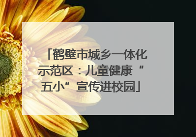 鹤壁市城乡一体化示范区：儿童健康“五小”宣传进校园
