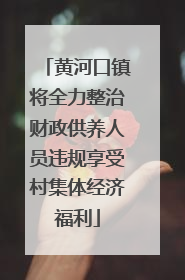 黄河口镇将全力整治财政供养人员违规享受村集体经济福利