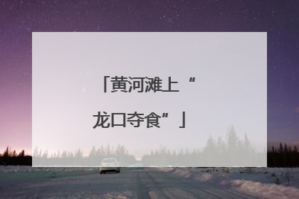 黄河滩上“龙口夺食”