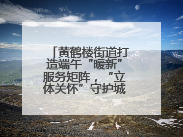 黄鹤楼街道打造端午“暖新”服务矩阵，“立体关怀”守护城市“摆渡人”
