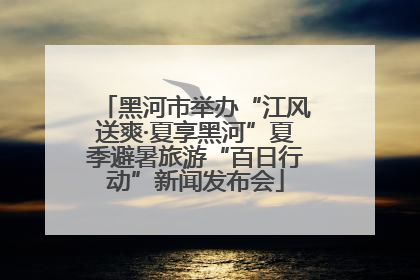 黑河市举办“江风送爽·夏享黑河”夏季避暑旅游“百日行动”新闻发布会