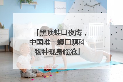黑顶蛙口夜鹰，中国唯一蟆口鸱科物种现身临沧