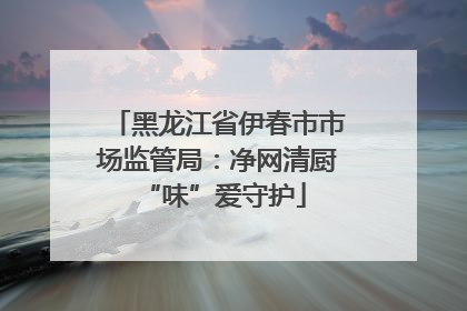 黑龙江省伊春市市场监管局：净网清厨 “味”爱守护