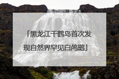 黑龙江千鹤岛首次发现自然界罕见白鸬鹚
