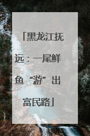 黑龙江抚远：一尾鲜鱼“游”出富民路