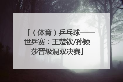 （体育）乒乓球——世乒赛：王楚钦/孙颖莎晋级混双决赛