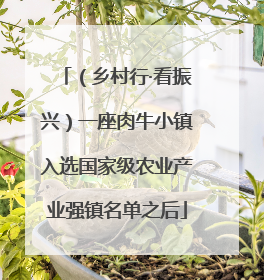 （乡村行·看振兴）一座肉牛小镇入选国家级农业产业强镇名单之后
