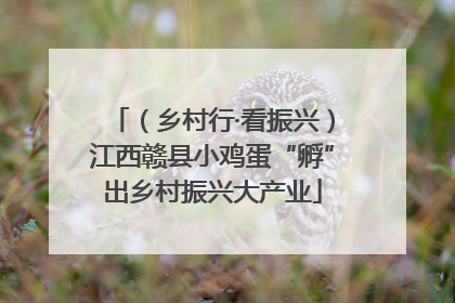 （乡村行·看振兴）江西赣县小鸡蛋“孵”出乡村振兴大产业