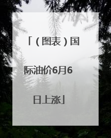 （图表）国际油价6月6日上涨