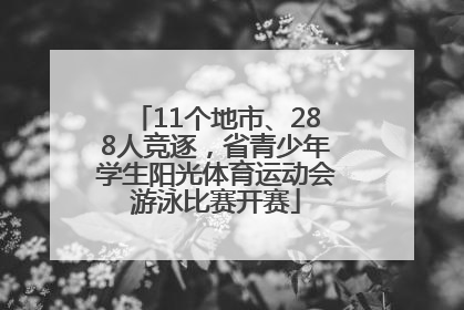 11个地市、288人竞逐，省青少年学生阳光体育运动会游泳比赛开赛