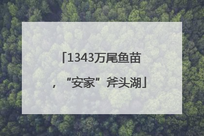 1343万尾鱼苗，“安家”斧头湖