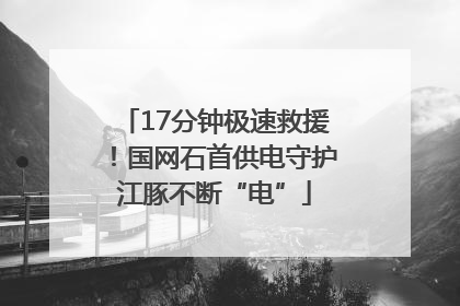 17分钟极速救援！国网石首供电守护江豚不断“电”